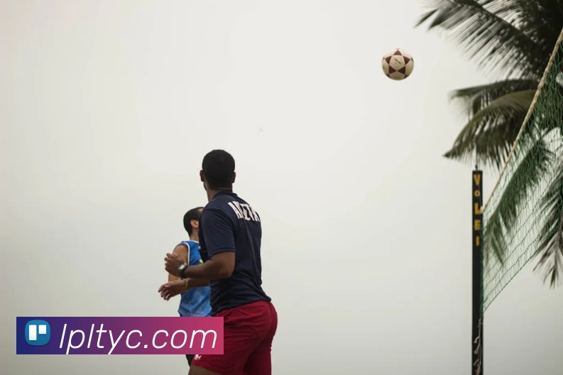 太阳城网站平台生态图